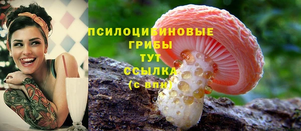 ECSTASY Алзамай