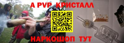 крисы Коммунар
