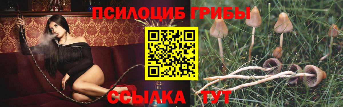 Галлюциногенные грибы прущие грибы  Псилоцибиновые грибы GOLDEN TEACHER  Вход с VPN  Томск 